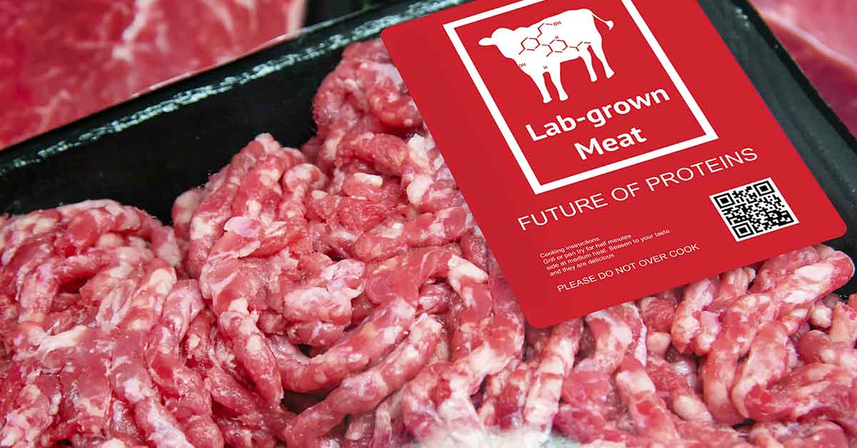 lab-grown meat