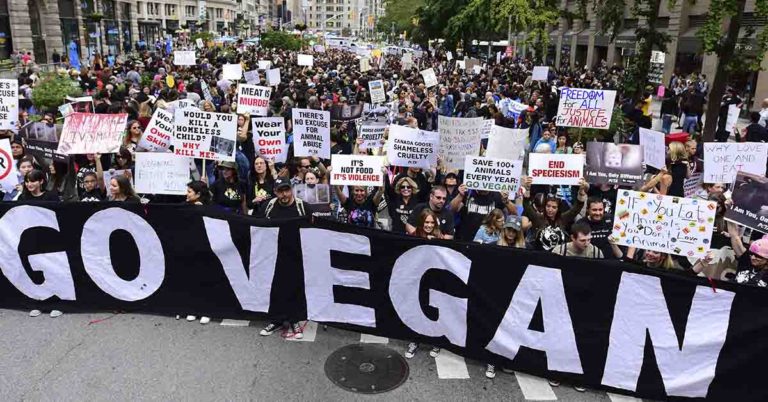 PETA Calls for Women to go on a Sex Strike Against Men Who Eat Meat. - Featured image