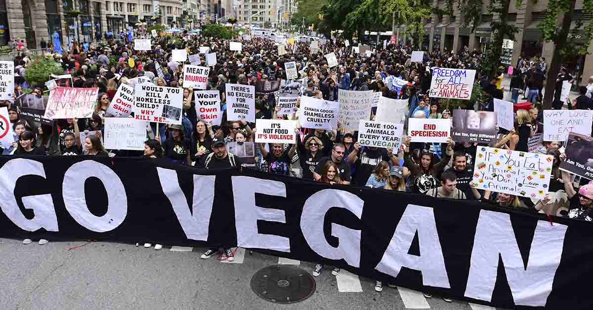 Demonstrators holding large "Go Vegan" sign