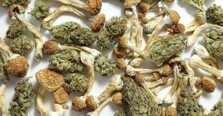 Woman’s ‘cancer vanished after using cannabis and magic mushrooms’ - Featured image