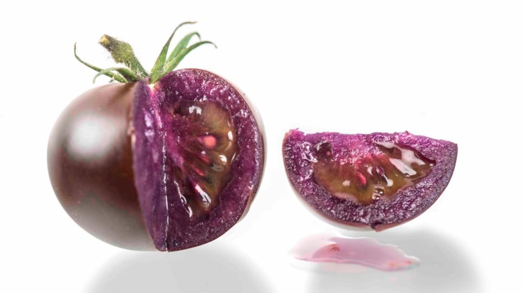 A new, genetically modified purple tomato may hit the grocery market s...