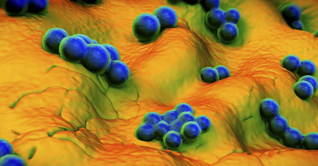 No antibiotics worked, so this woman turned to a natural enemy of bacteria to save her husband’s life - Featured image