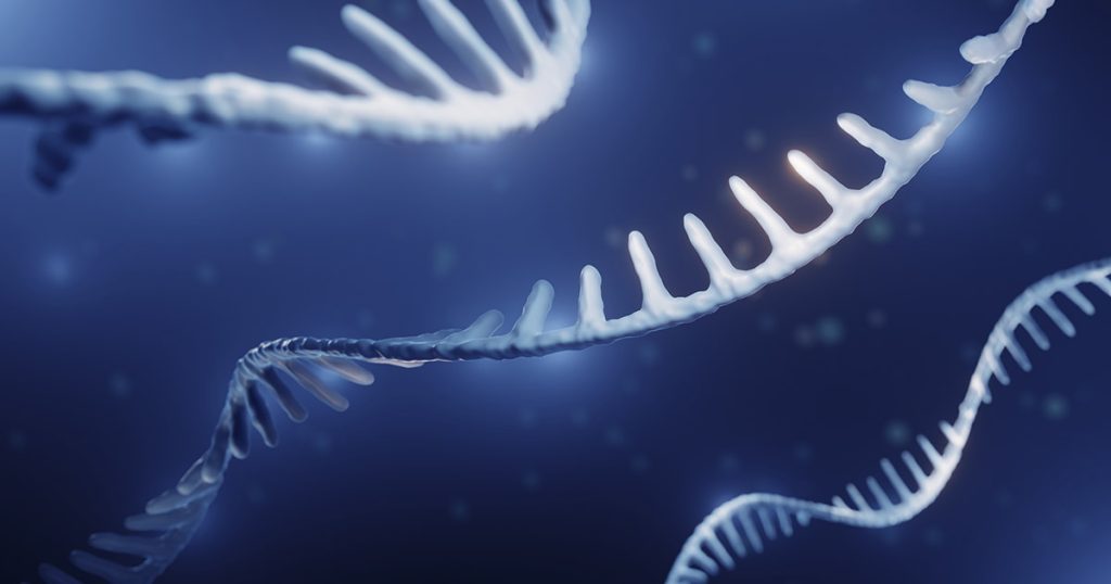 Epigenetic Memories are Passed Down 14 Successive Generations, Game-Changing Research Reveals - Featured image