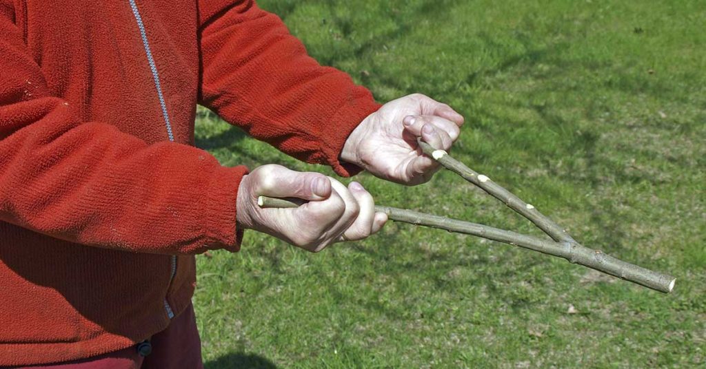 Nearly No One Recognizes This Antique Tool. Are You One of the Few That Actually Know What It Is? - Featured image