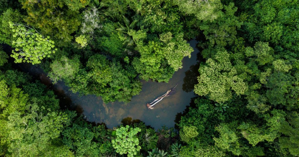 70 Tourists Including Brits And Americans Are Being Held Hostage By Indigenous Tribe On Boat In Amazon Rainforest - Featured image
