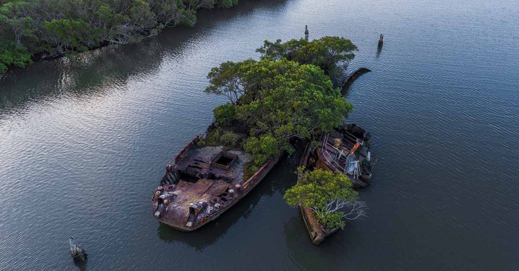 108-Year-Old SS Ayrfield Ship Has Turned Into A Floating Forest After Being Left Abandoned For So Many Years - Featured image