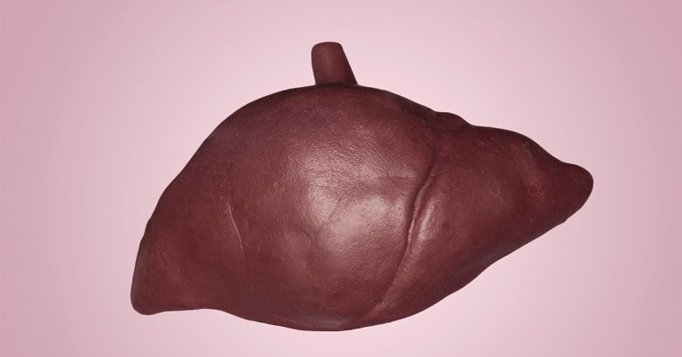 Lab-grown mini-livers bring us closer to an organ donor-free future - Featured image