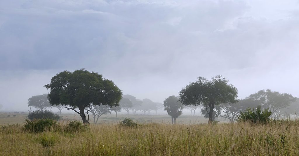 Humans may have all come from one African country, study says - Featured image