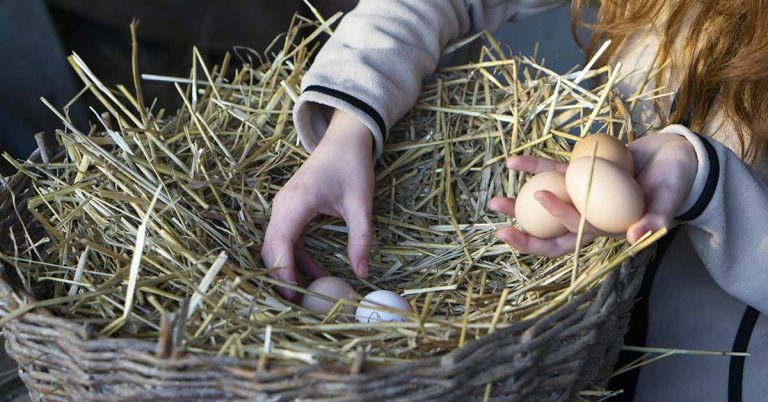 Family who live in off-grid clay house have paid no bills for nearly a decade - Featured image