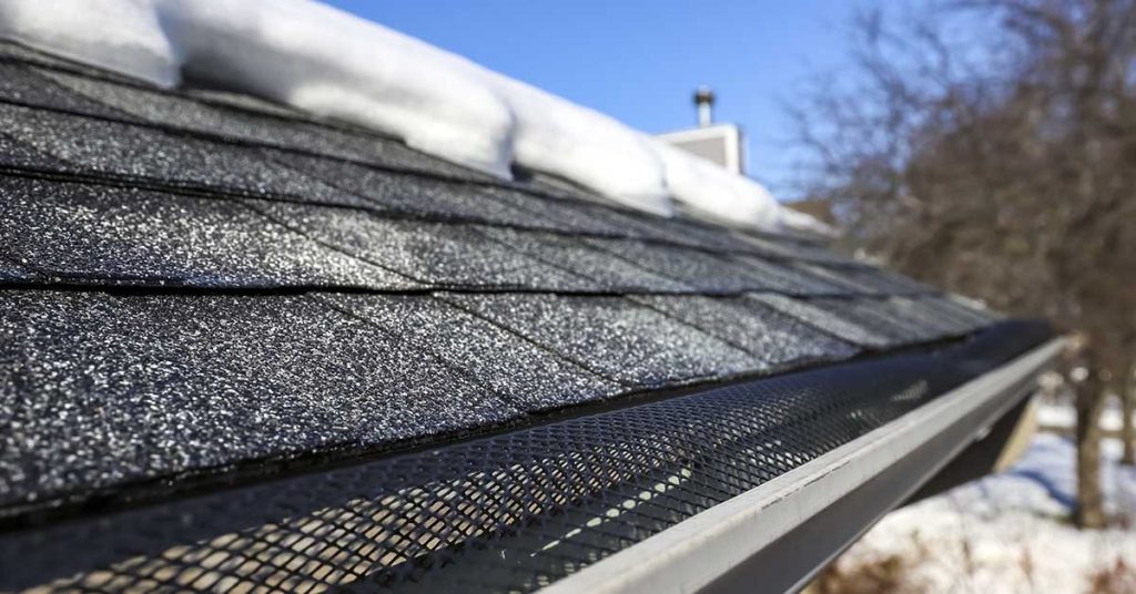 Several people from a small town in the Netherlands called the police after noticing something extremely strange at the house of nearby neighbors - Featured image