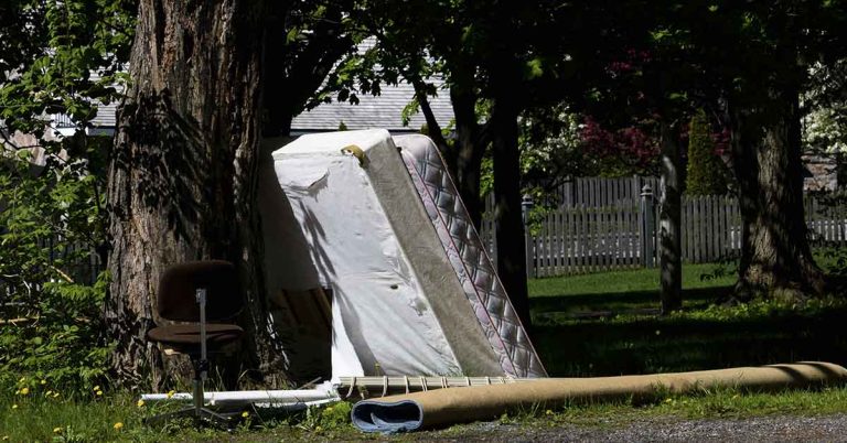 Woman Fed Up with Illegal Dumping Dumps Waste at Address Found Amongst the Garbage - Featured image