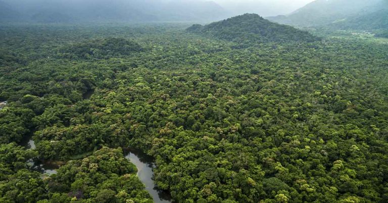 Ancient Maya City Has Been Discovered Under The Guatemala Rainforest In Now ‘Inhospitable’ Area - Featured image