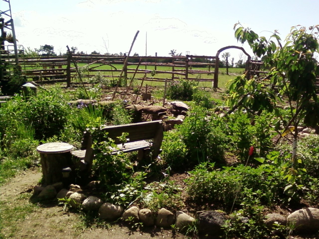The offgrid garden and vegetable patch