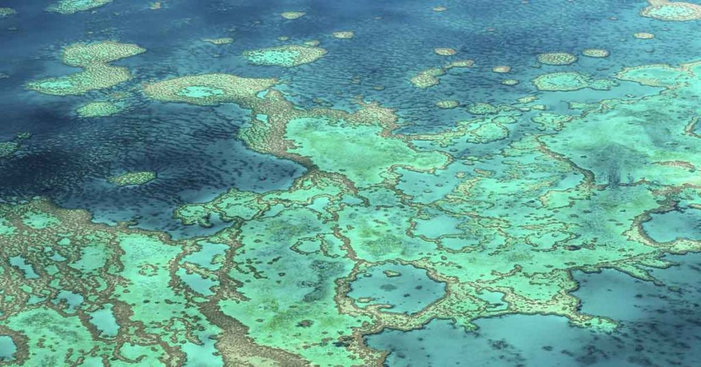 A Destructive Blob of Smelly Seaweed is Headed For Florida - Featured image