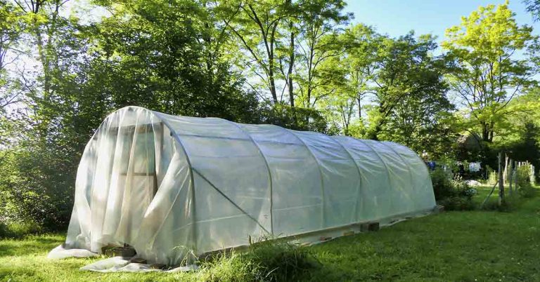 How to Make a Polytunnel that Will Last Forever (& 5 Reasons You Need One) - Featured image