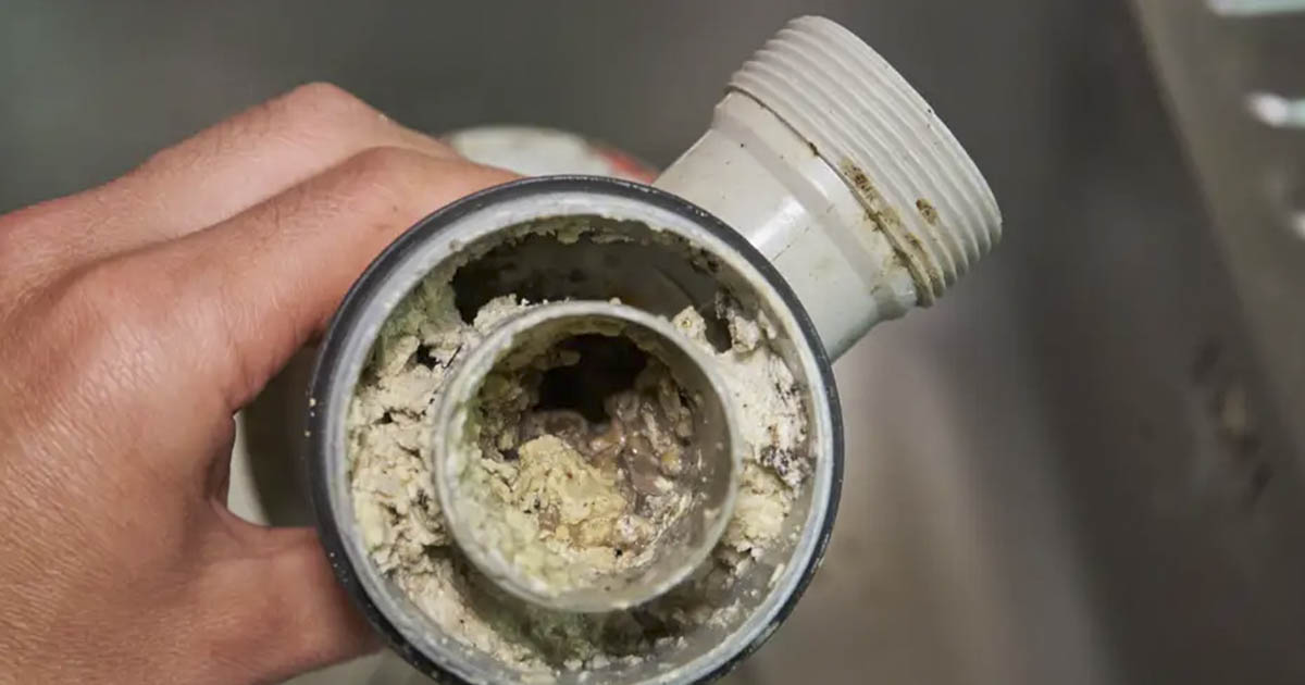 How to destink a smelly sink drain The Premier Daily