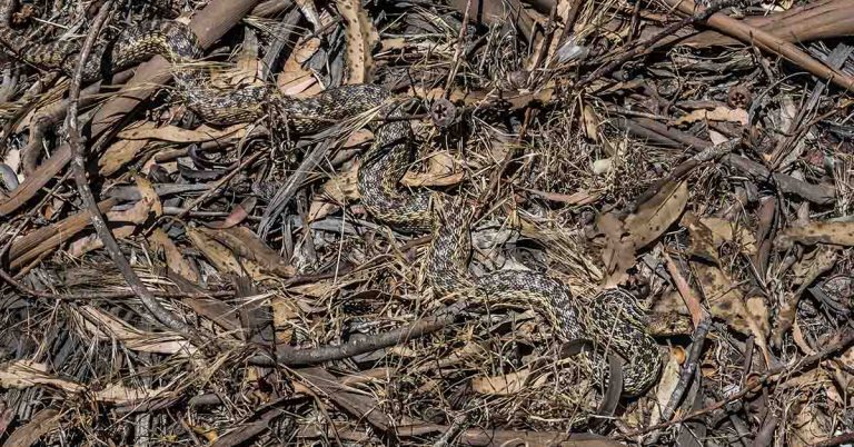 20 Unnerving Photos Of Nature That Made Us Want To Stay Inside Forever - Featured image
