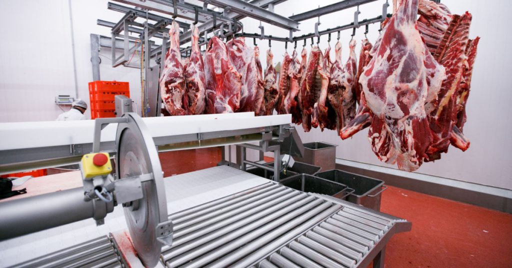 A Company Illegally Hired a 13-Year-Old. Her Family is Paying the Price. - Featured image