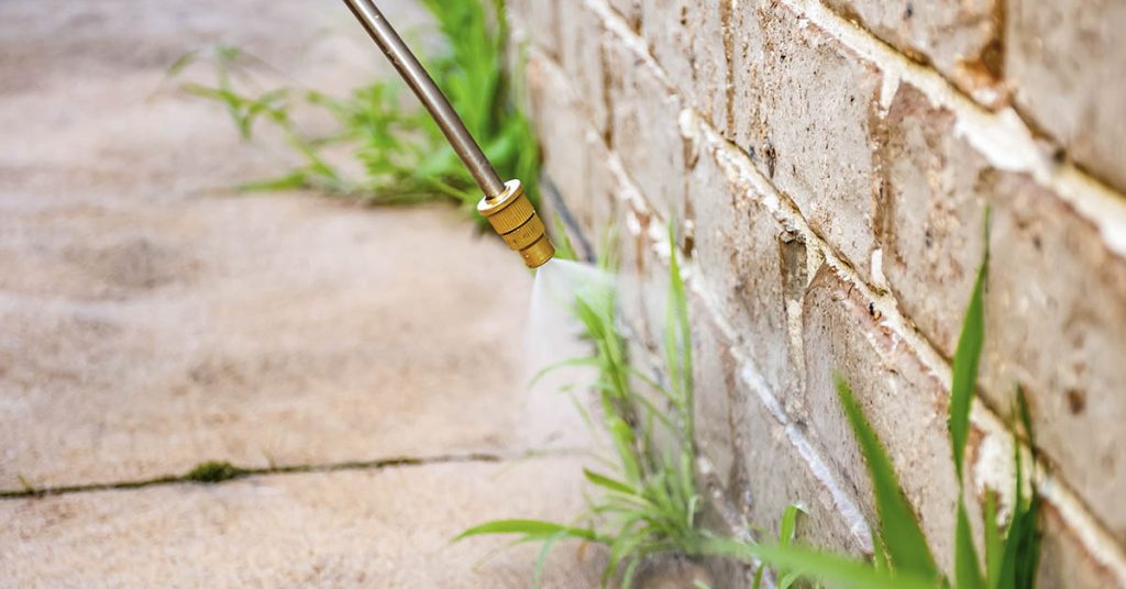 He was Drenched in a Weedkiller Made by Monsanto in a Workplace Accident. Then He was Diagnosed with Cancer - Featured image