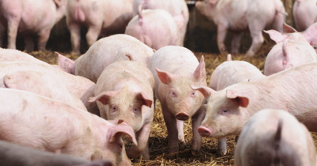 Which US Companies are owned by Chinese Investors? - Featured image