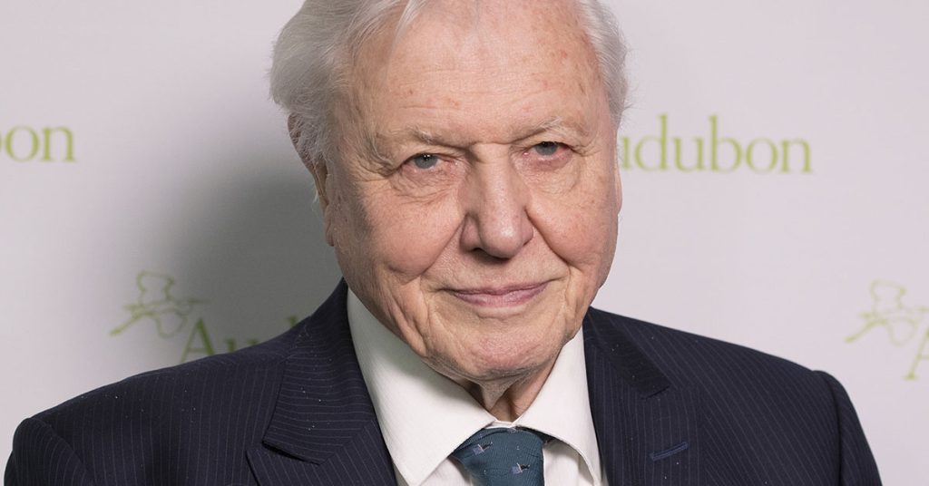 David Attenborough Brings Viewers to Tears as He Makes ‘Urgent Final Plea’ - Featured image