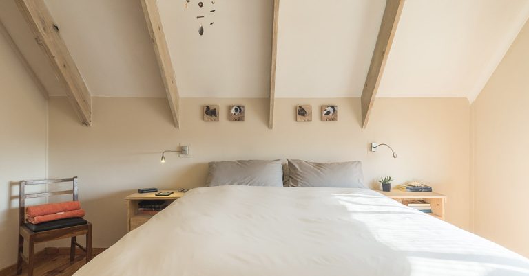 This $17,000 tiny home now brings in $49,000 a year on Airbnb - Featured image