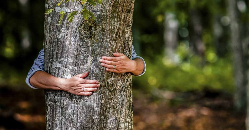 Do plants feel pain? Study finds plants ‘scream’ when stressed or