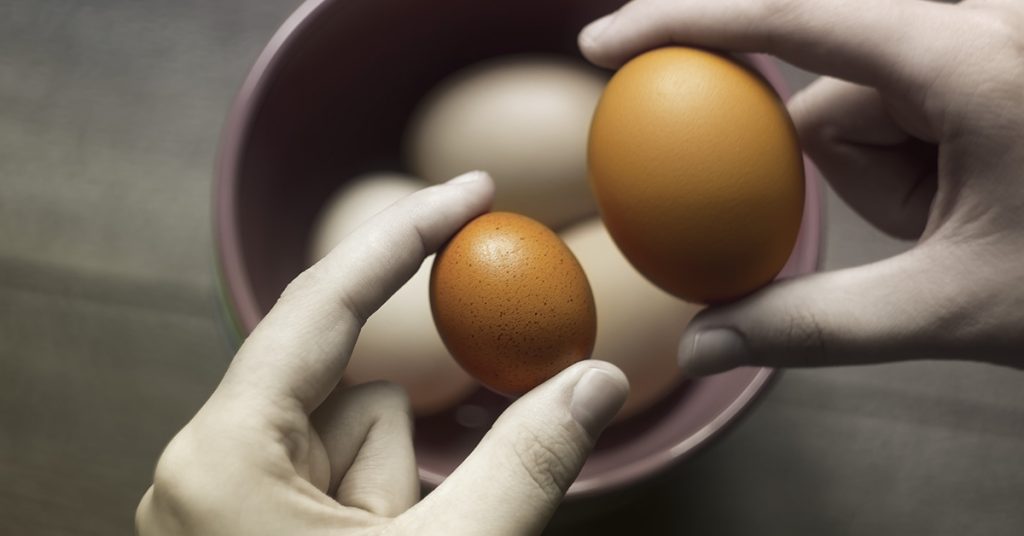Farmer finds giant egg but what was inside was even more puzzling - Featured image