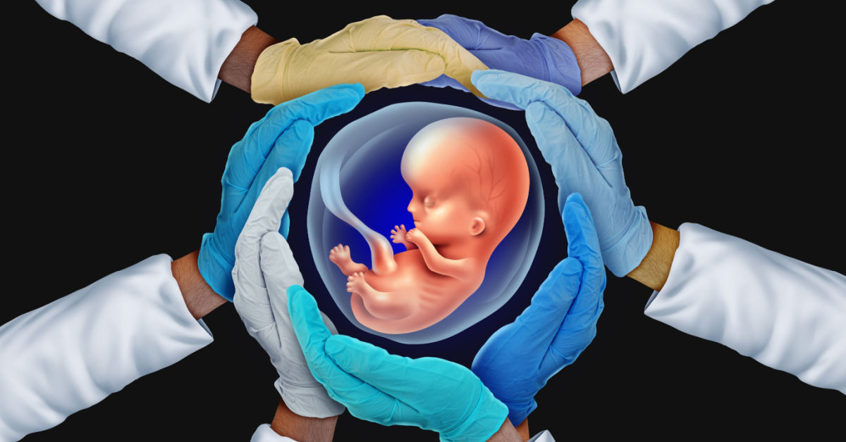 depiction of synthetic human embryo.
