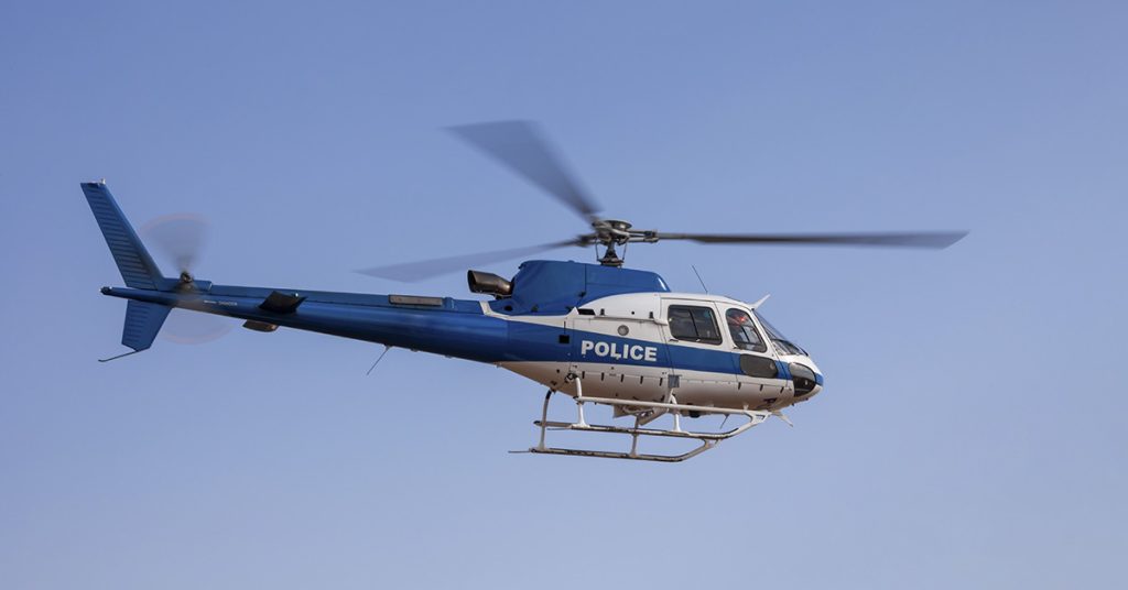 These 12 Kids And A Dog Were Dubbed As The Crime-Busting Heroics - Featured image