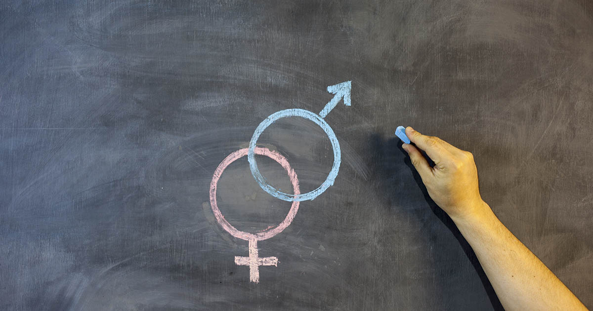 male and female gender symbols being drawn on chalkboard