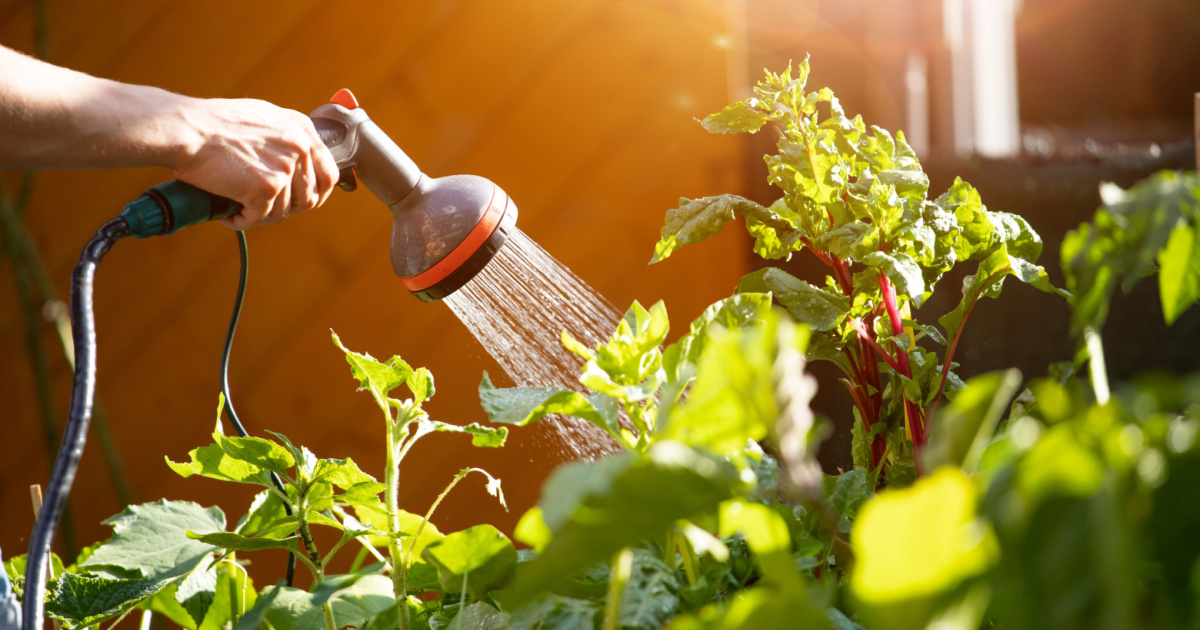 7 Easy Ways To Keep Snakes Away From Your Yard