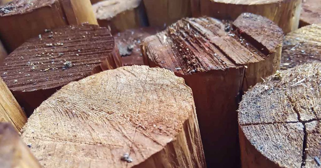 Man Spent 14 Years To Build The Largest Tree House In The World, But Wait Till You See Inside - Featured image