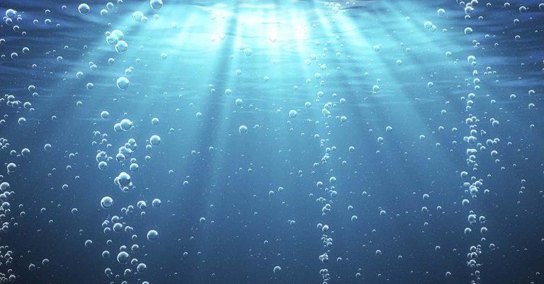 Alaska man witnesses humpback whale use impressive feeding technique - Featured image