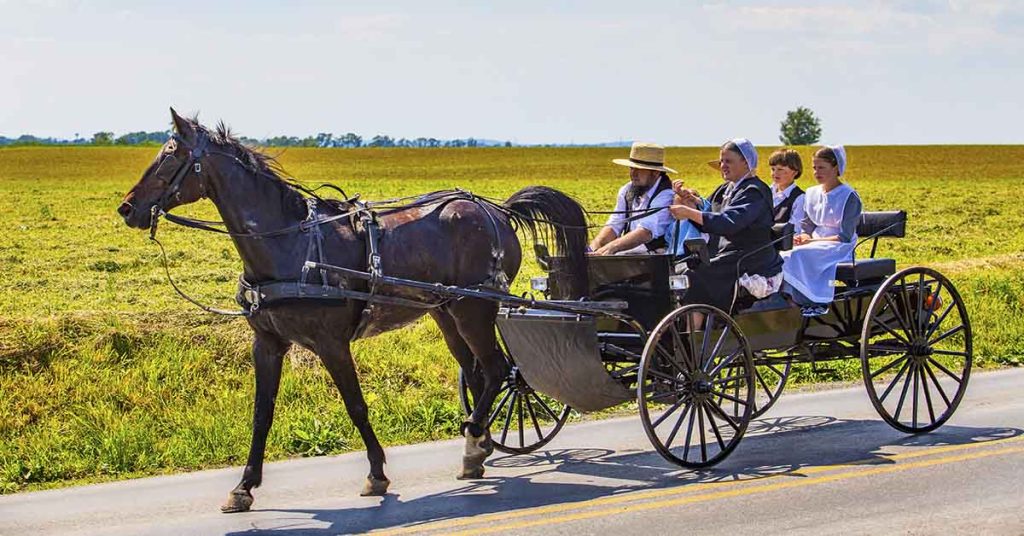 Amish family in horse and buggy