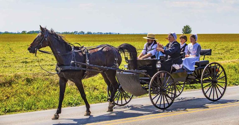 10 Things You Probably Didn’t Know About the Amish - Featured image