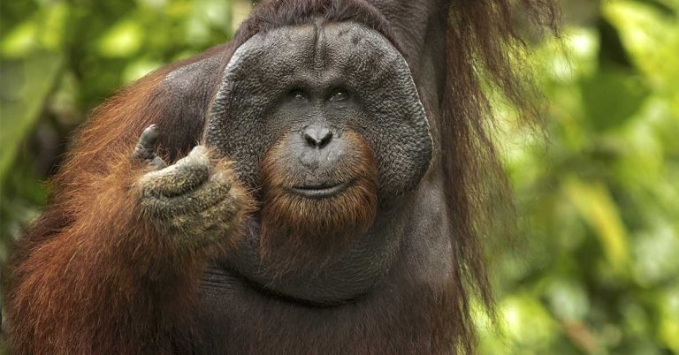 50 Real-Life Stories That Are Nothing Short Of Impressive - Featured image