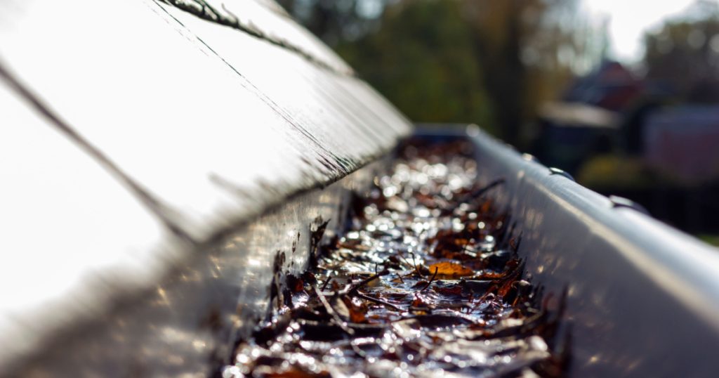 A portrait of a roof gutter clogged by many fallen fall leaves hanging from a slate roof. This is a typical annual chore during or after autumn to clean the gutter.
