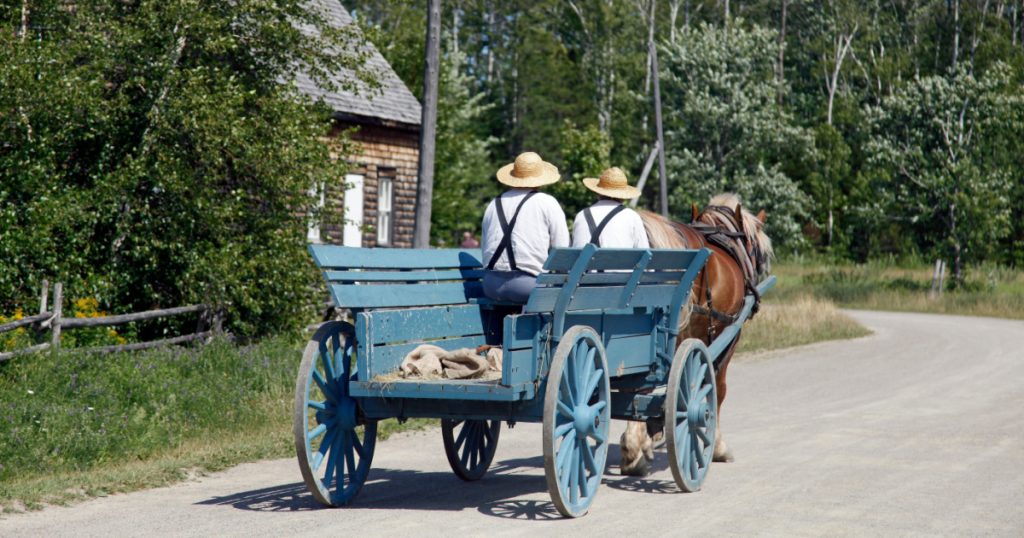 Horse-drawn carriage on the road in the amish village in summer
