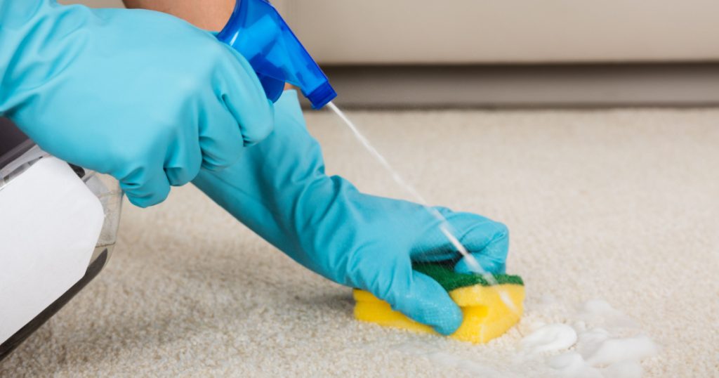 Close-up Of Person Hand Cleaning Carpet With Detergent Spray Bottle
