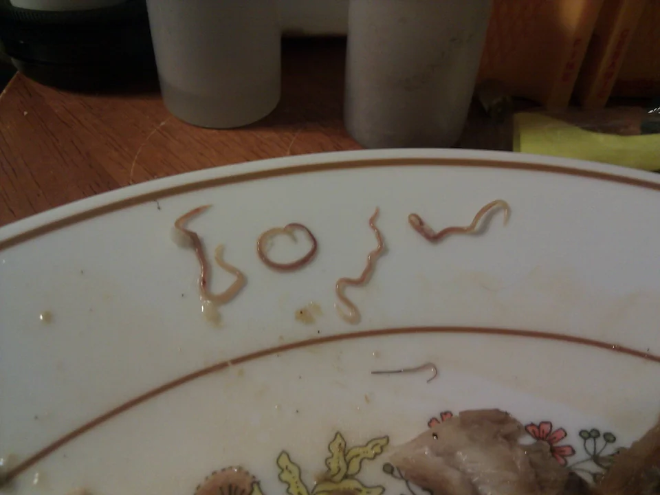 roundworms on plate