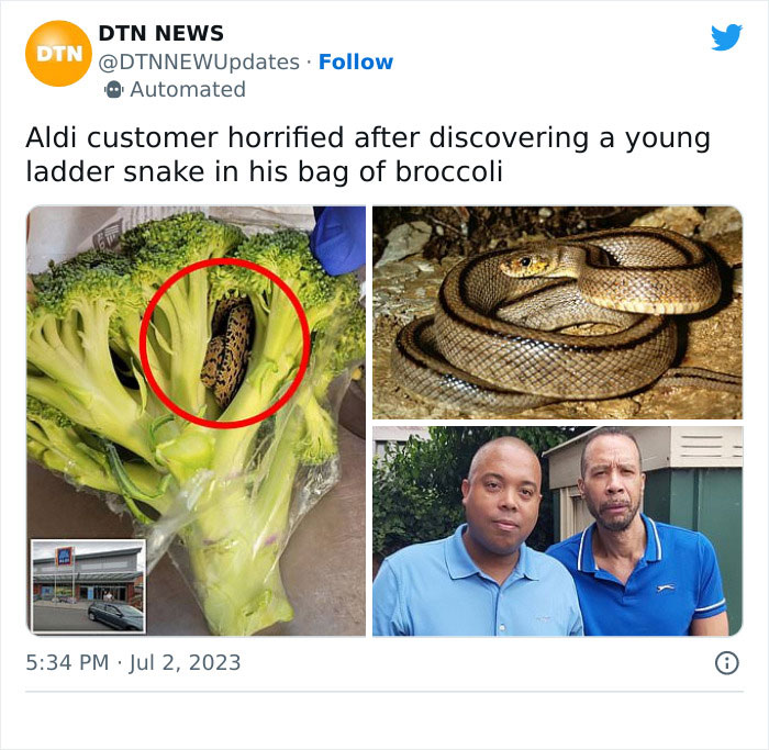 Screenshot of Tweet from DTN news about man who found lader snake in broccoli at Aldi