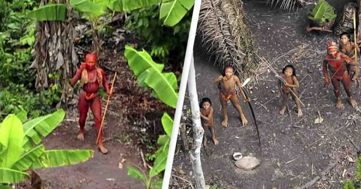 Drone Captures Extremely Rare Image of Sentinelese Tribes Cut Off From the World The Premier Daily