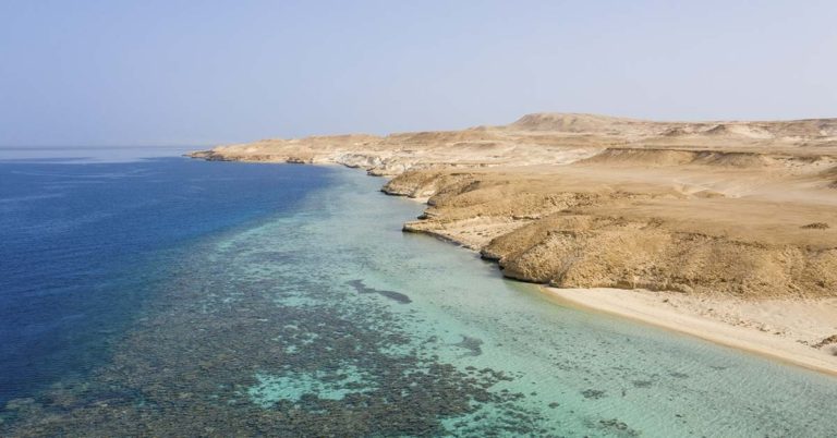 Scientists Make Scary Discovery After Reaching the Bottom of the Red Sea - Featured image