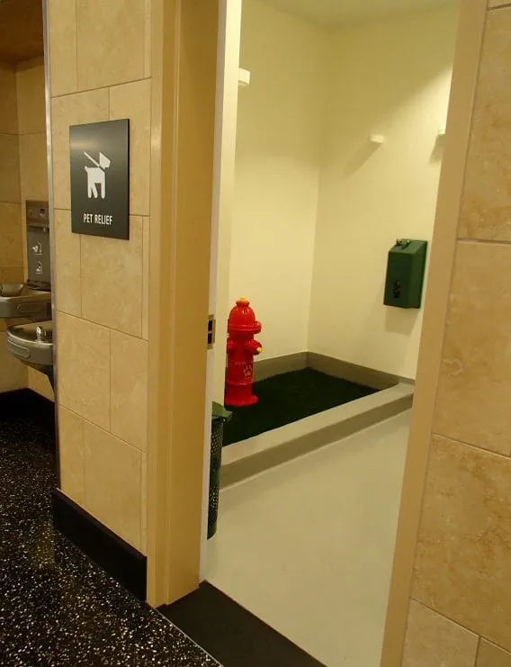 Aiport moments finding a pet restroom.