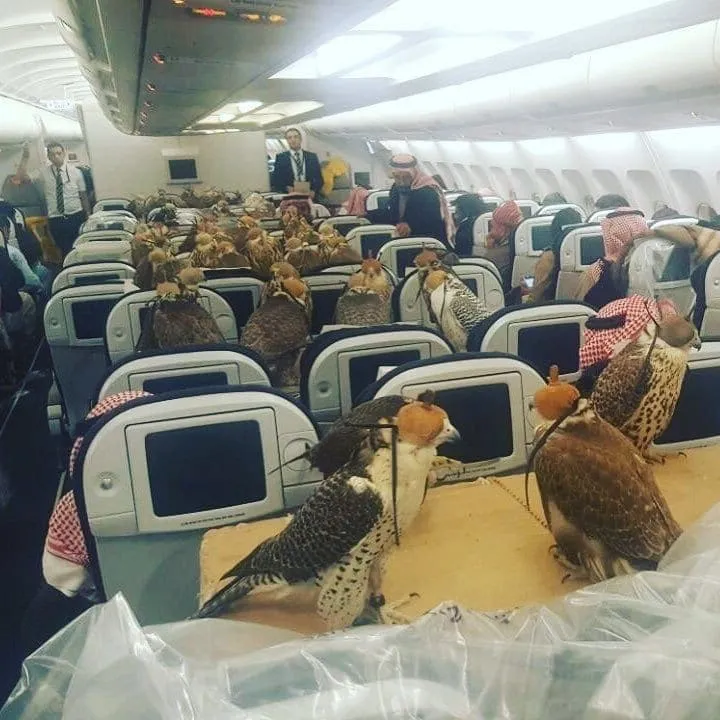 Flight filled with eagles