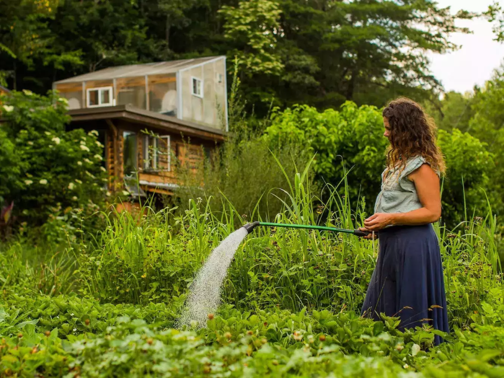Bogwalker and her garden.   