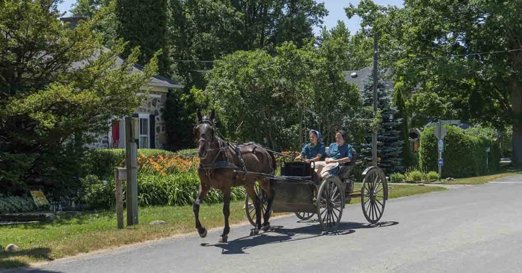 ‘They Used News Paper’ Ex-Amish Who Escaped As a Teen Explains Their Toilet Paper Ban - Featured image