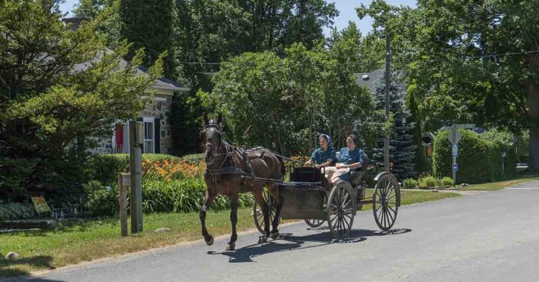 ‘They Used News Paper’ Ex-Amish Who Escaped As a Teen Explains Their Toilet Paper Ban - Featured image