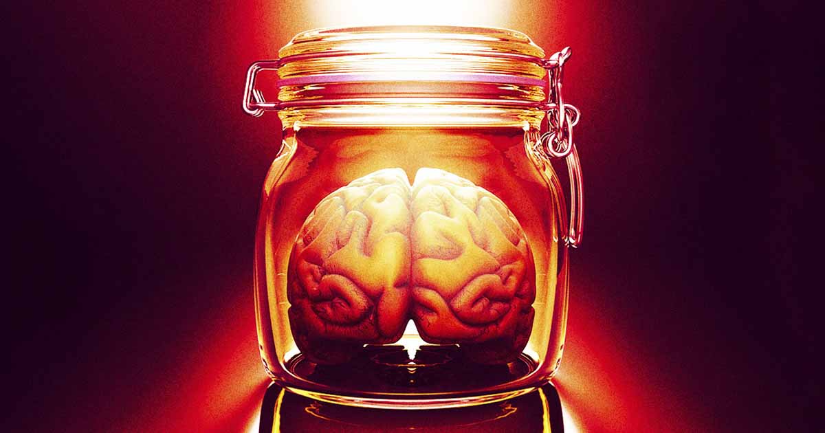 Device Keeps Brain Alive While Separated From Body The Premier Daily